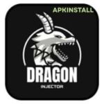 Dragon Injector